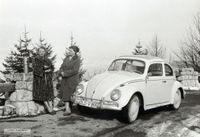 3568 - (0019) VW K&auml;fer