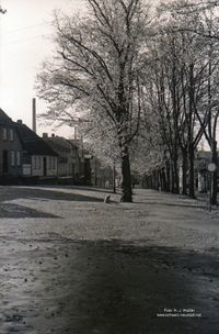 7958 - (0035) Waschgrabenallee, Blickrichtung Hafen, Ende 1930er