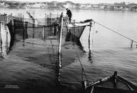 6972 - Fischerei 1940er