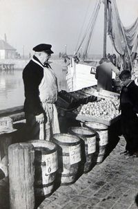 0079 - (0001) Fischer Kutter Hafen 1950er