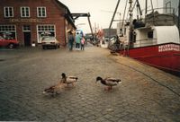 0167 - (F0119) - Hafen Silberland 1990