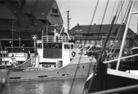 2668 - (0001) Hafen 1979