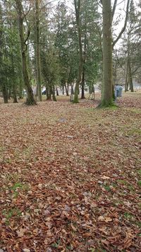 11048 - (0002) Anstaltsfriedhof am Parkweg 2019