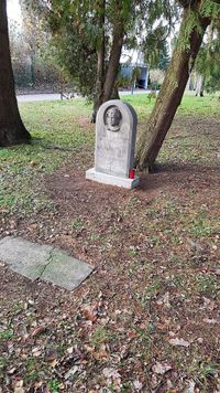 11058 - (0002) Anstaltsfriedhof am Parkweg 2019