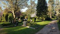 11036 - (0002) S&uuml;dfriedhof 2019