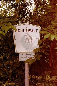 6850 - (0009) Schulwald 1982