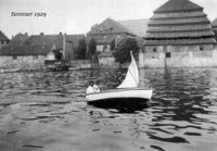 1118 - (0065) Binnenwasser Sommer 1929 (M)