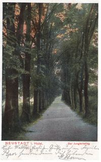 1981 - (PK-01471) - Jungfernstieg 1908