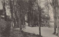 9272 - (PK-00583) - Jungfernstieg 1917