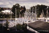 1440 - (0016) 7tes Marine Minensucher Hafen