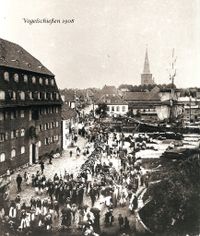 0478 - (0001) Vogelschie&szlig;en 1908