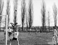 4548 - (0027) TSV Fu&szlig;ball