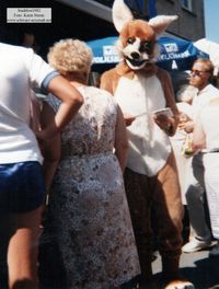 5634 - (0178) Stadtfest 1982